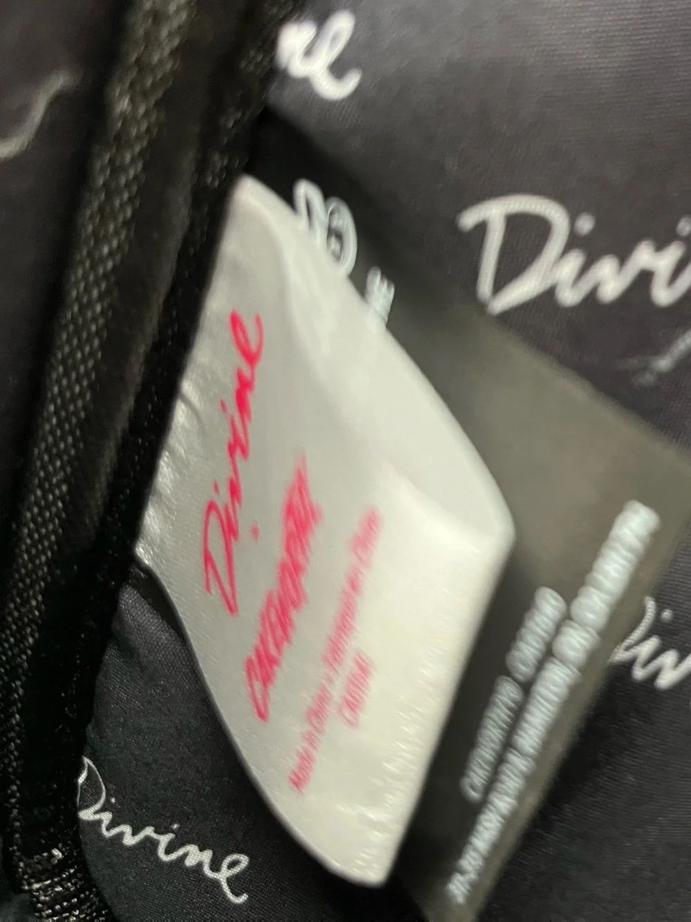 Cakeworthy x Divine Collab. Iconic Drag Queen Cosmetic Bag NWT